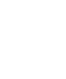 THE BATTERY